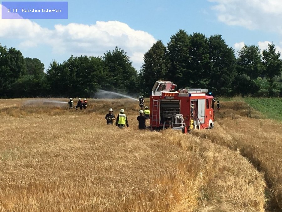 Mittelbrand Mittelbrand